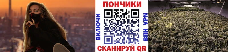 Какие есть наркотики Новоржев Alpha PVP COCAIN Меф Бошки Шишки