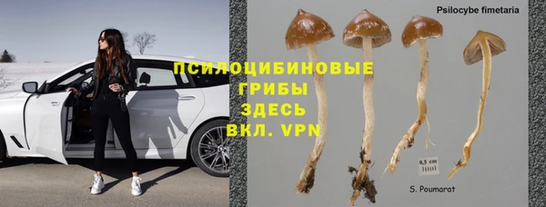 МДПВ Бугульма
