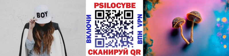 Галлюциногенные грибы ЛСД  Новоржев 