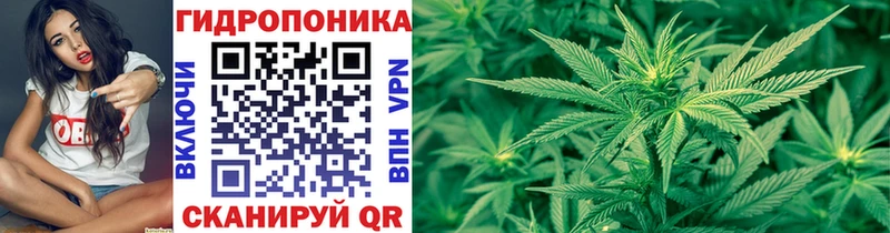 Каннабис Ganja Новоржев